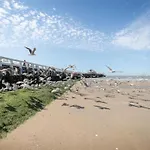 Flat In With Ocean Views 아파트