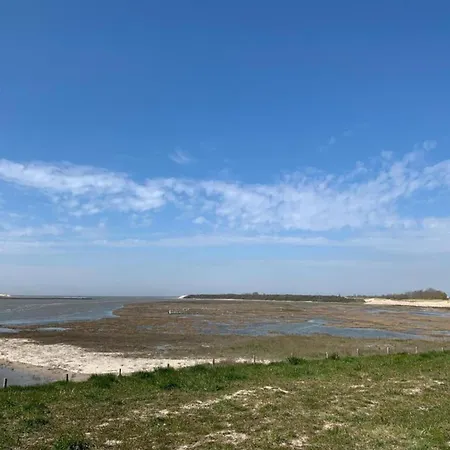 Flat In With Ocean Views Daire