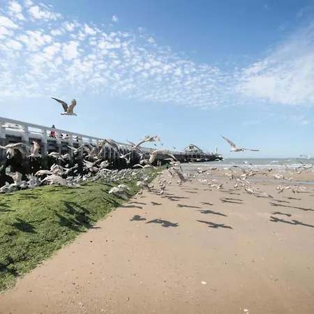 Flat In With Ocean Views Daire