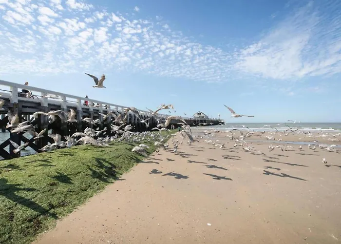 Flat In With Ocean Views Apartmán